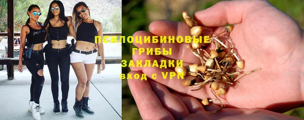 мескалин Армянск