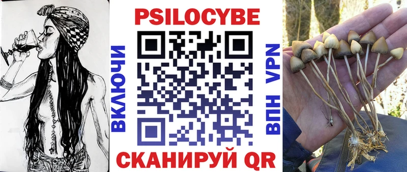 Псилоцибиновые грибы мухоморы Дорогобуж